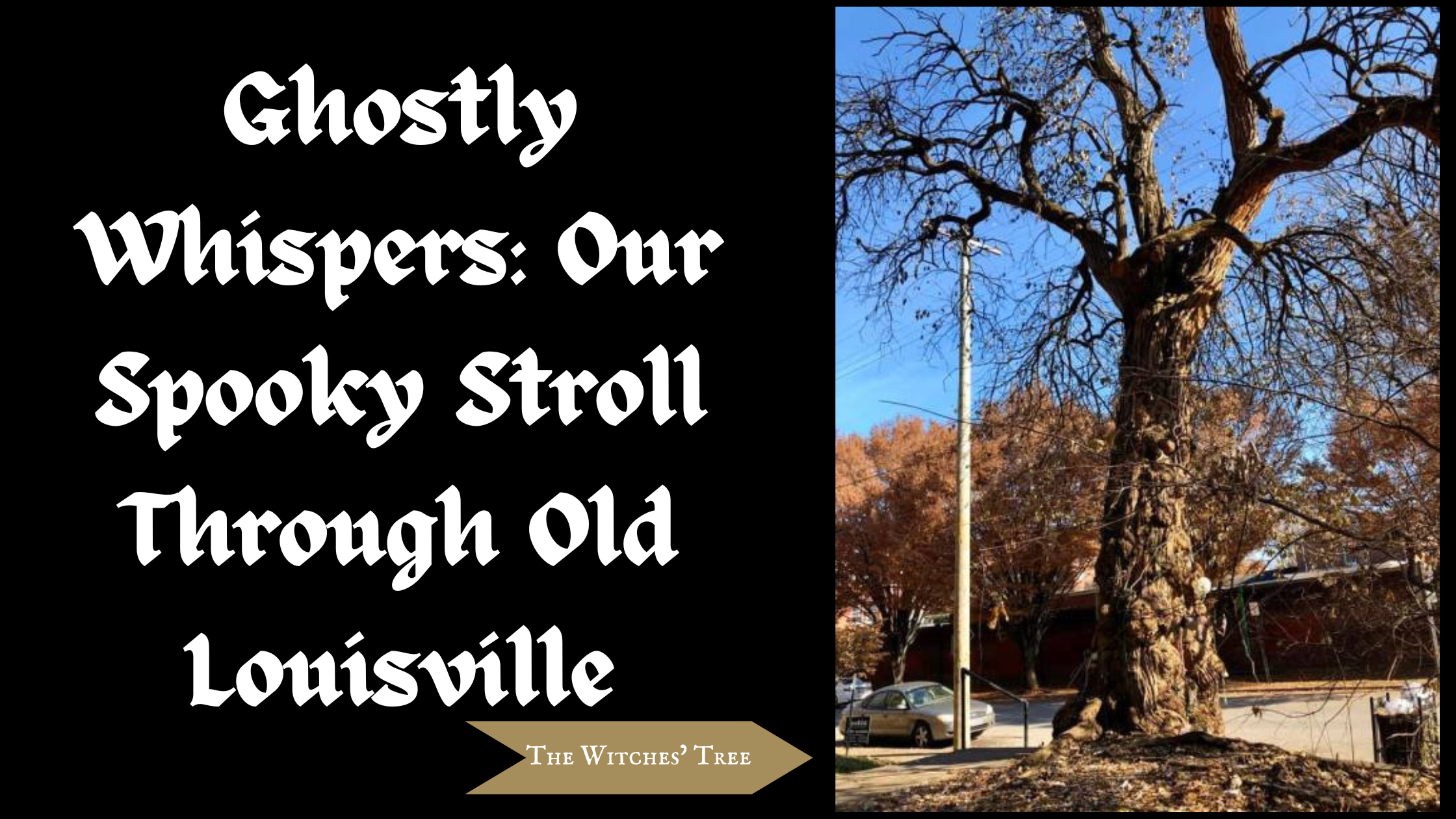 Ghostly Whispers: Our Spooky Stroll Through Old Louisville