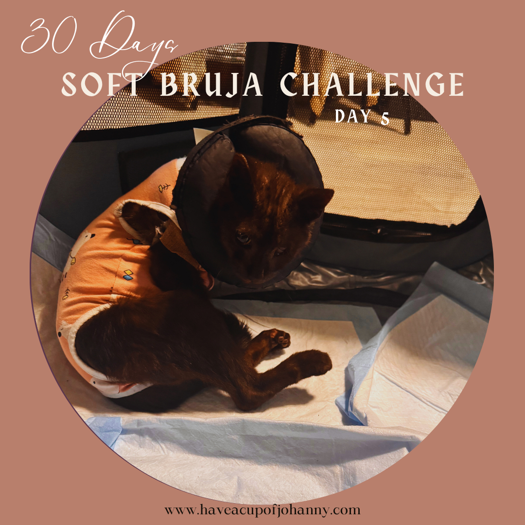 Day 5: My Familiar — Dila, The Little Warrior Who Mirrors Me