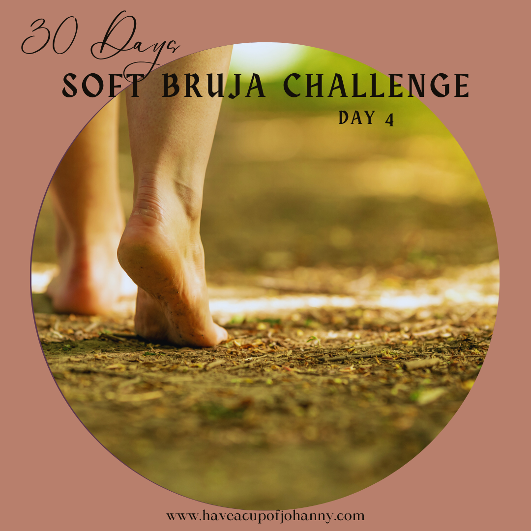 Day 4: My Walking Path — Finding Clarity Between Grass and Desert