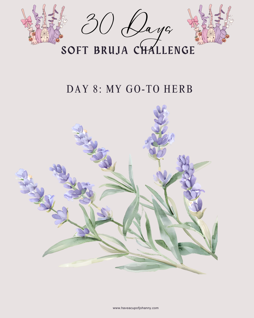 Day 8: My Go-To Herb — Lavender, My Softest Companion